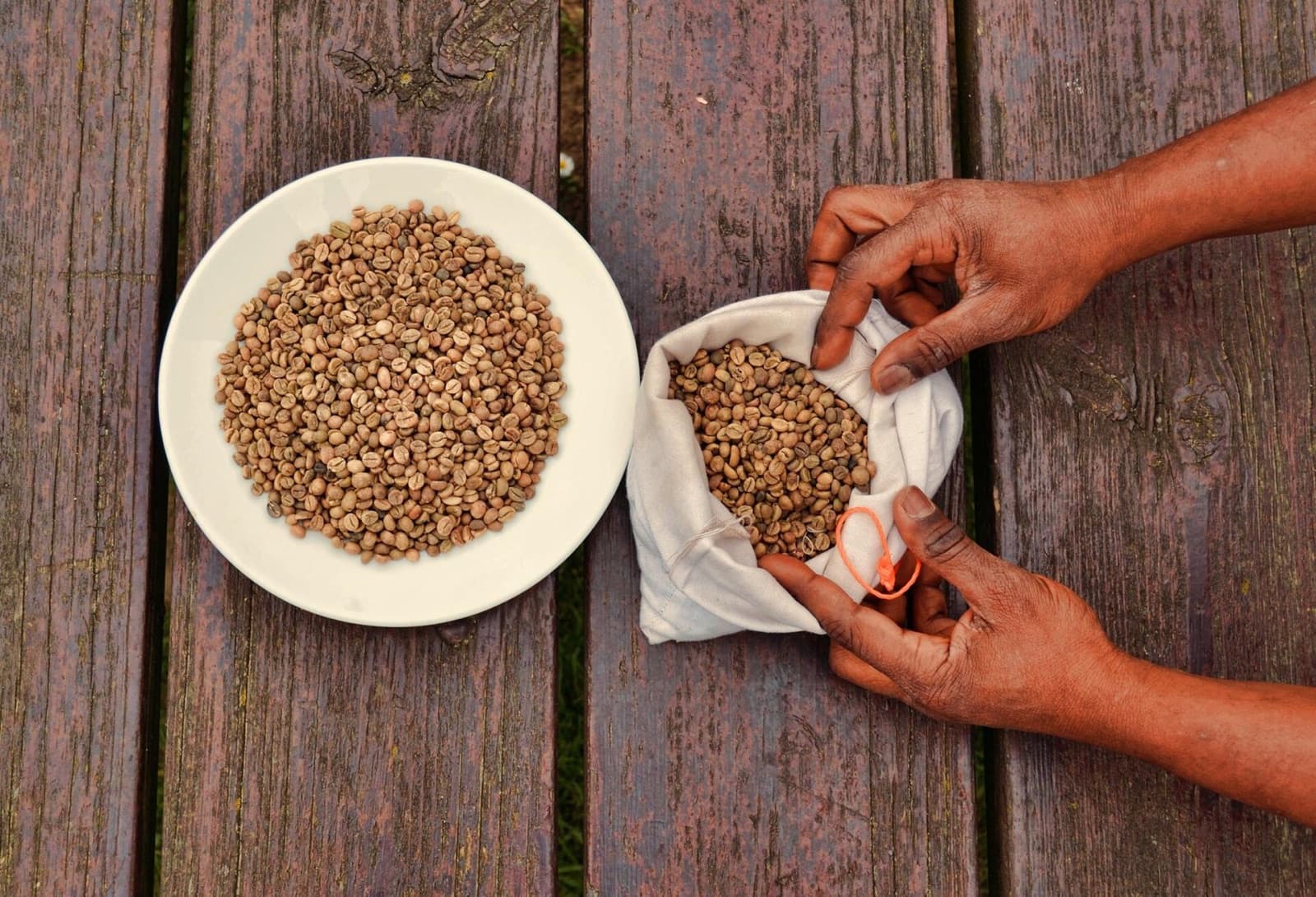 Unroasted Kenyan green coffee beans, screen-sized after milling